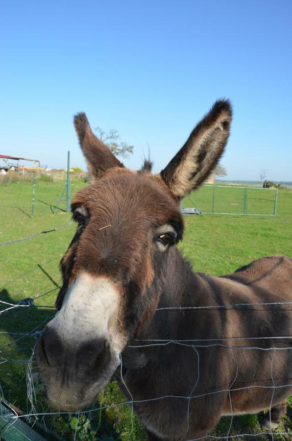 Gite Brin De Campagne Vaucremont Exterior foto